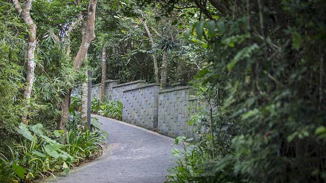 近七天游三亚,海南轻松游