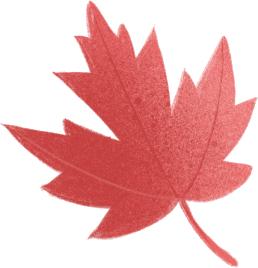 小心这张纸丢了驾照无效！上海公布首批50家便利早餐示范店！申工社商城今12点秒杀董酒！