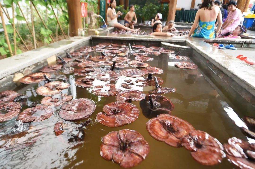 世界迷惑行为大赏解说,世界洗浴