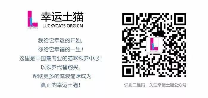 领养自贡富顺的孩子,领养孩子的视频小豆花