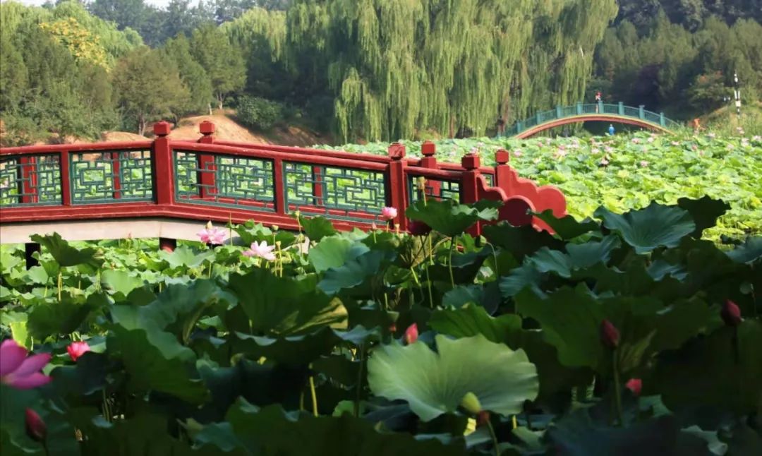 《哪吒》：孤独，只因没有在这里遇见TA