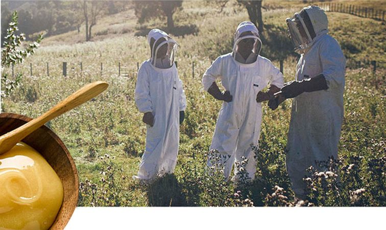 小编推荐丨缓解咳嗽、口臭，试试这个“千金方”！澳洲纯植物提取