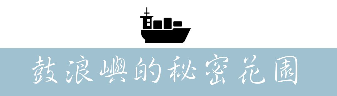 对厦门鼓浪屿景色的描写,鼓浪屿在厦门的哪个地方