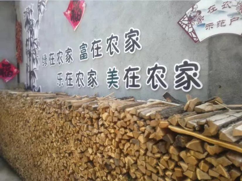 党员政治生活馆开展联合主题党日,依托党建基地开展主题党日