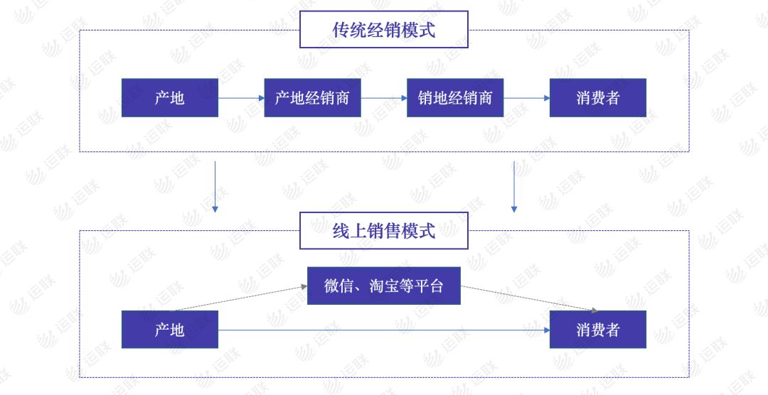 「运联研究」高端水果物流为什么独爱顺丰？