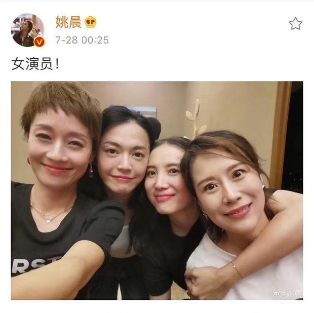 明星谈四十不惑,四十不惑好年华