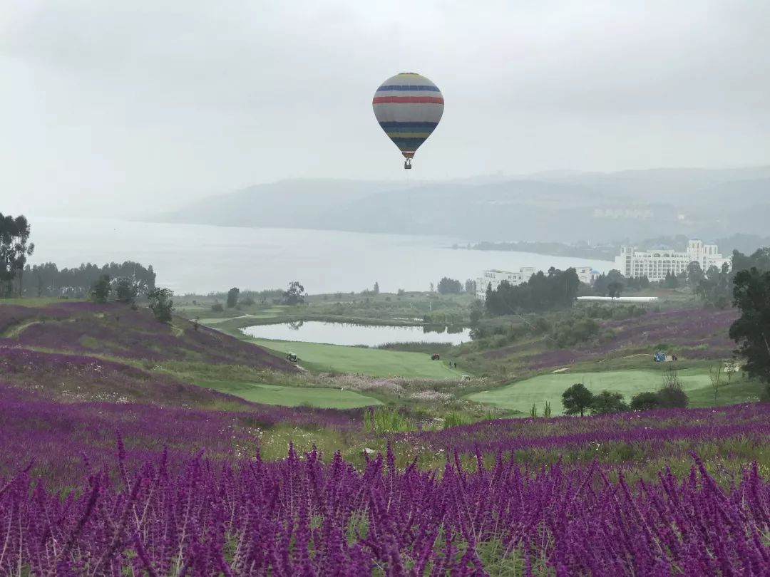 旅游度假区体旅融合,度假旅游产业发展