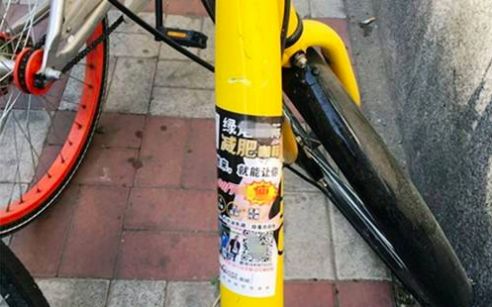 昔日女神负面消息缠身险过气，转手做生意却搞得风生水起