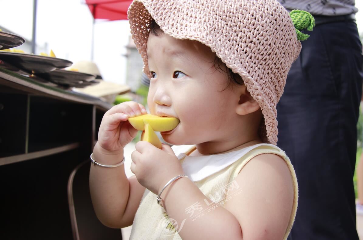 清溪黄桃园开展采摘活动,清溪龙凤维刚黄桃采摘园