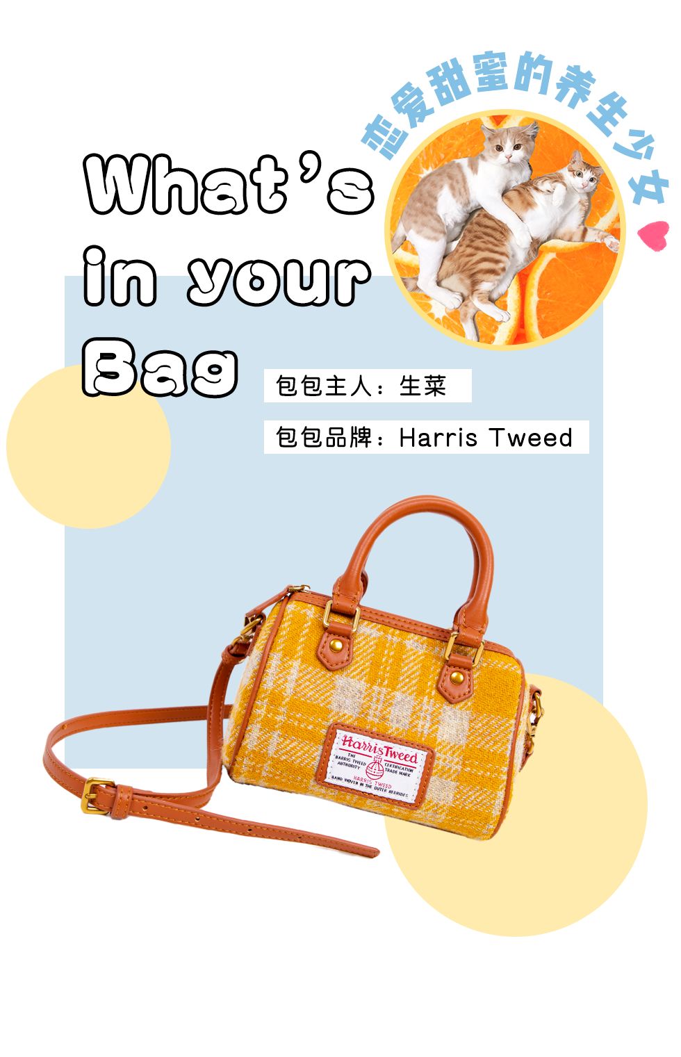 美妆公司上班的女孩,美妆公司的女生