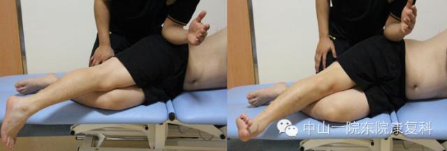 康复治疗技术人体解剖学,12条筋膜链解析及治疗手法