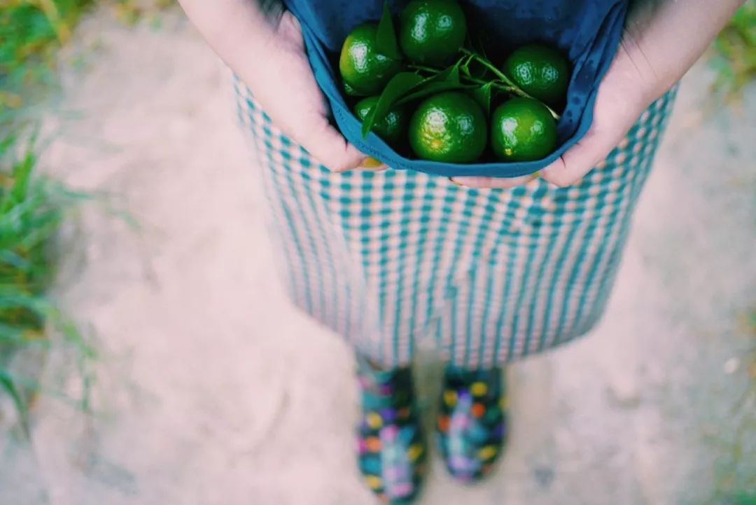 8月份好物,8月好物