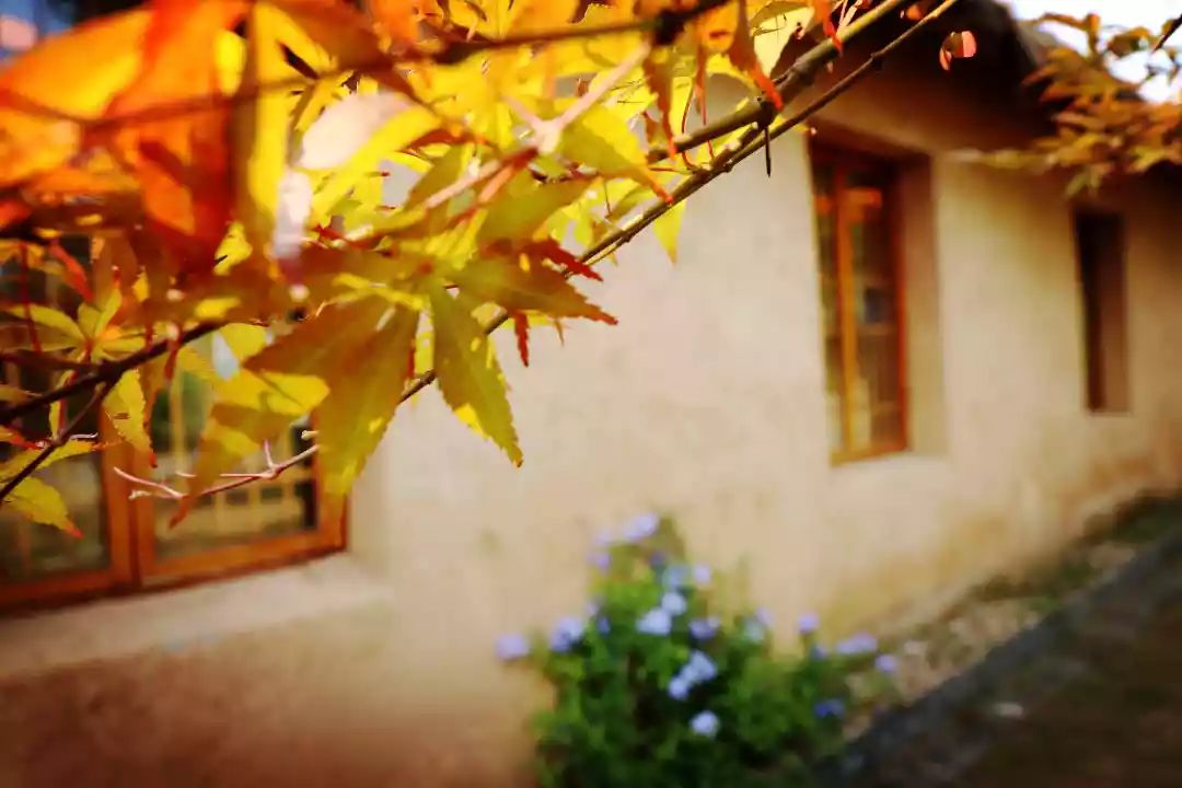 南京江宁区秣陵杏花村景区,南京秣陵杏花村