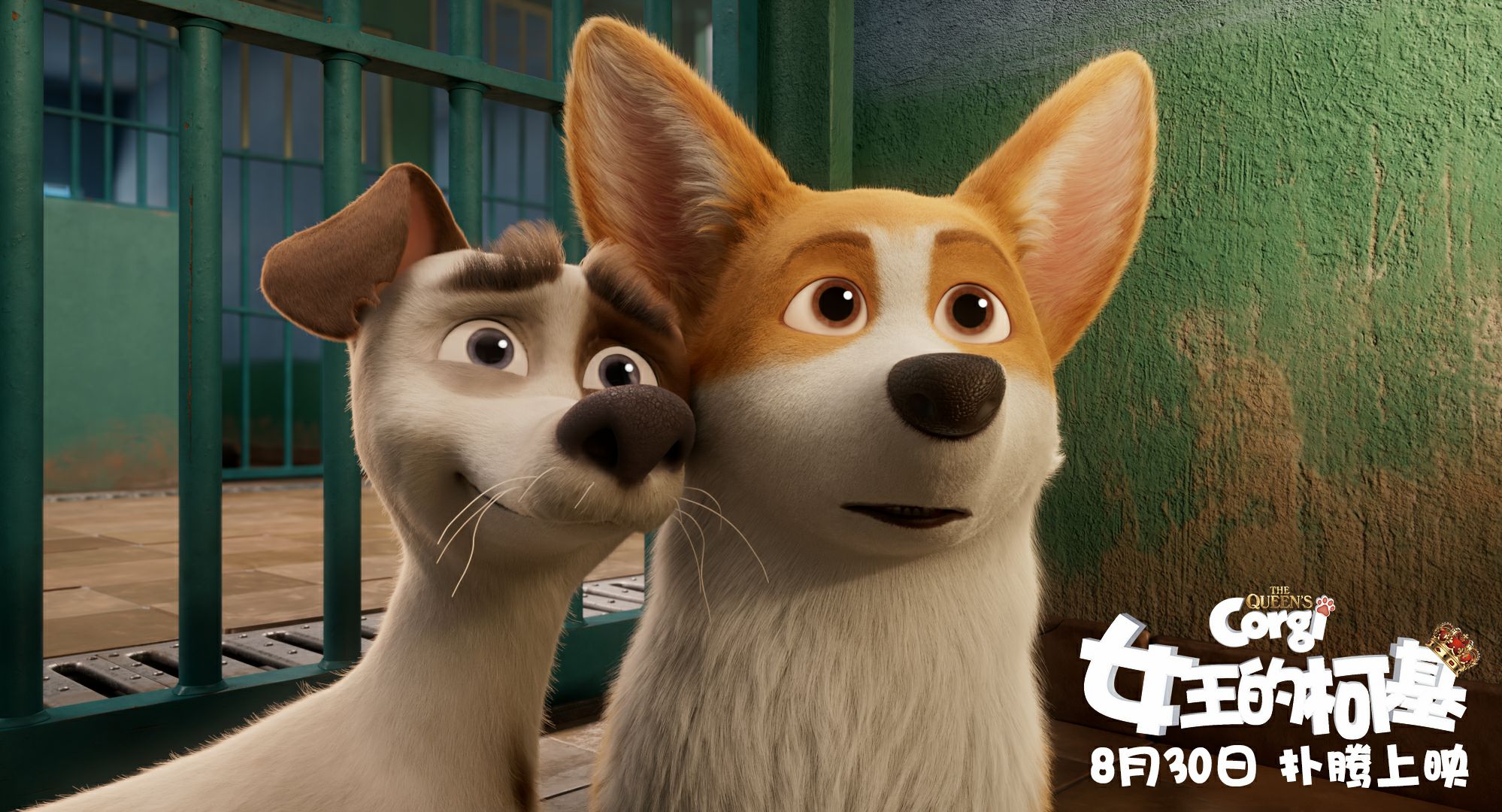 女王的柯基现在怎么样了,女王的柯基在线免费看全集完整版