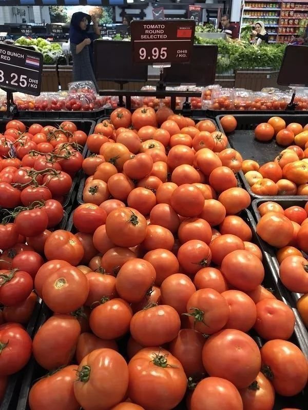 在迪拜生活需要多少存款,在迪拜普通人打工生活消费高吗