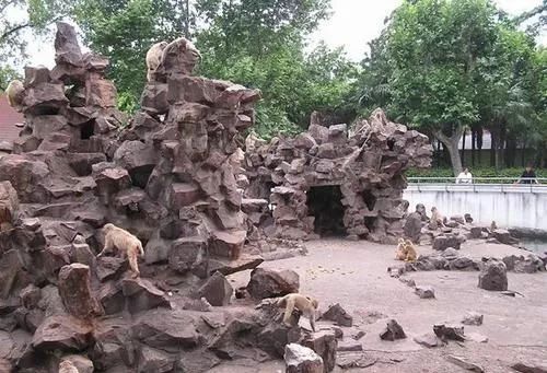 控江路视频,控江路到海昌海洋要多久