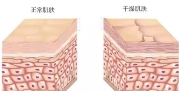 天王嫂方媛费尽心思嫁入豪门,天王嫂和方媛最近的视频