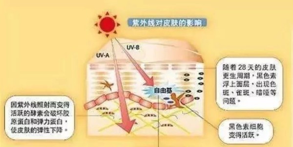 天王嫂方媛费尽心思嫁入豪门,天王嫂和方媛最近的视频