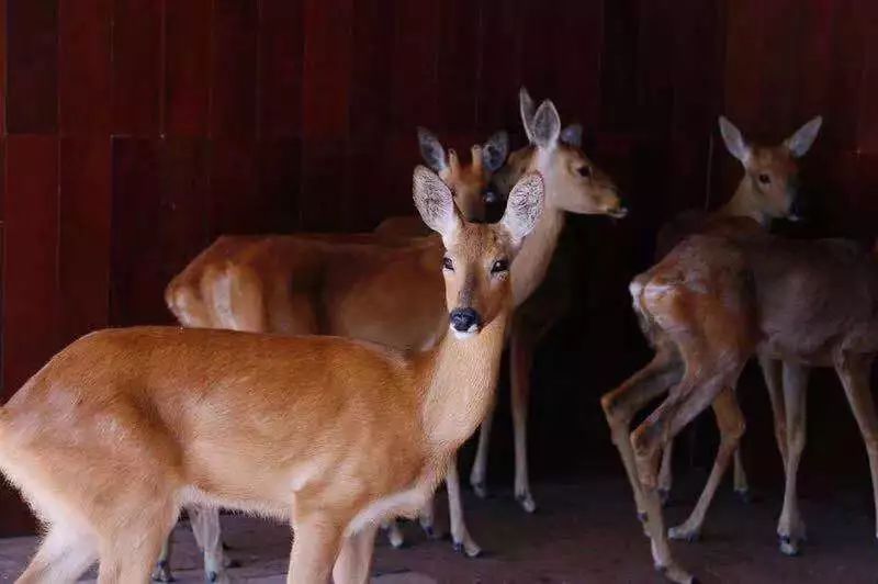 立秋凉快宜人的季节,立秋天气哪里凉快了呢