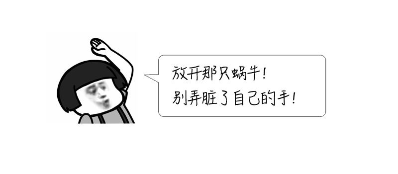 雨后常见的大蜗牛有什么危害,深圳雨后的大蜗牛是保护动物吗