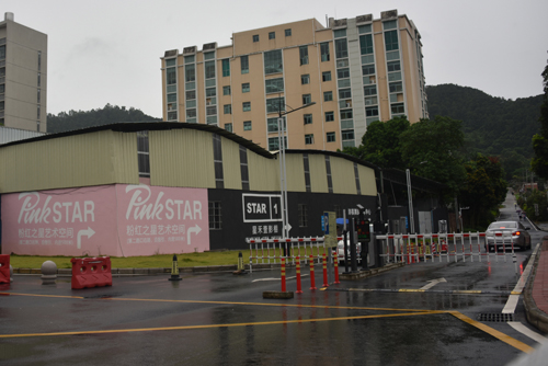 广州湿地公园网红打卡地,广州春风十里网红打卡地