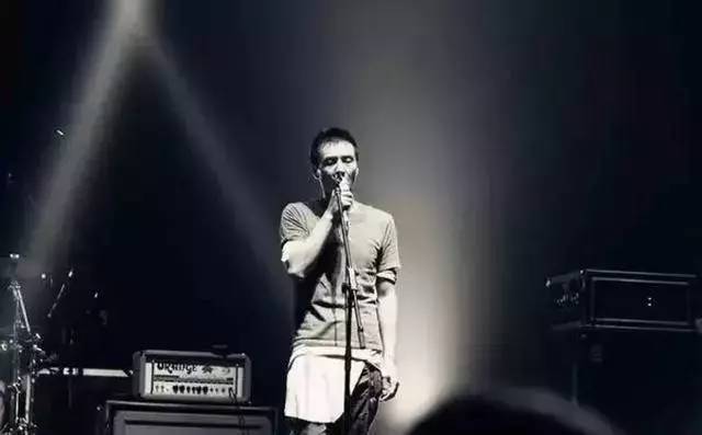 为什么朴树这么火,为什么朴树价格这么高