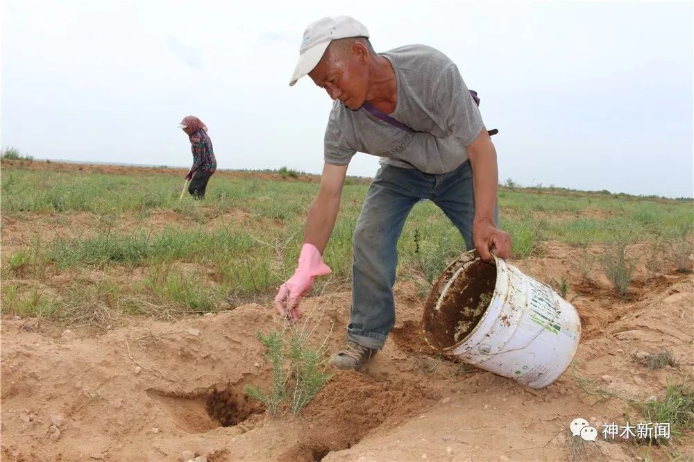 90后小伙子带村民致富,90后小伙带领全村人致富后续