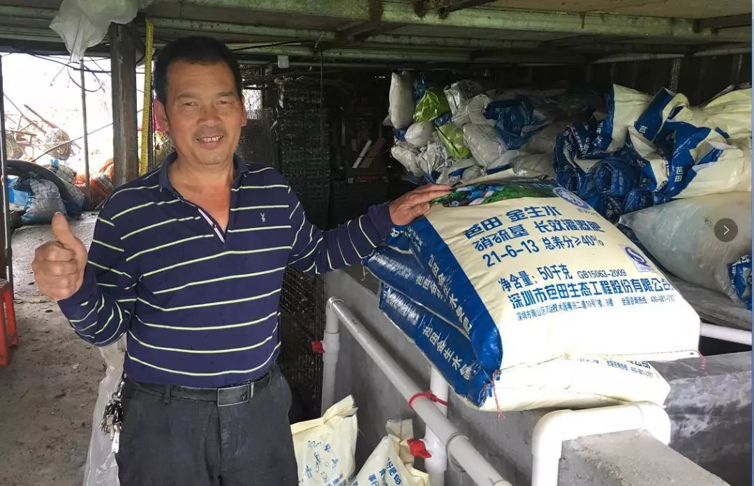 聚焦|种植状元吴图就：芭田肥品质好，一用就是20多年