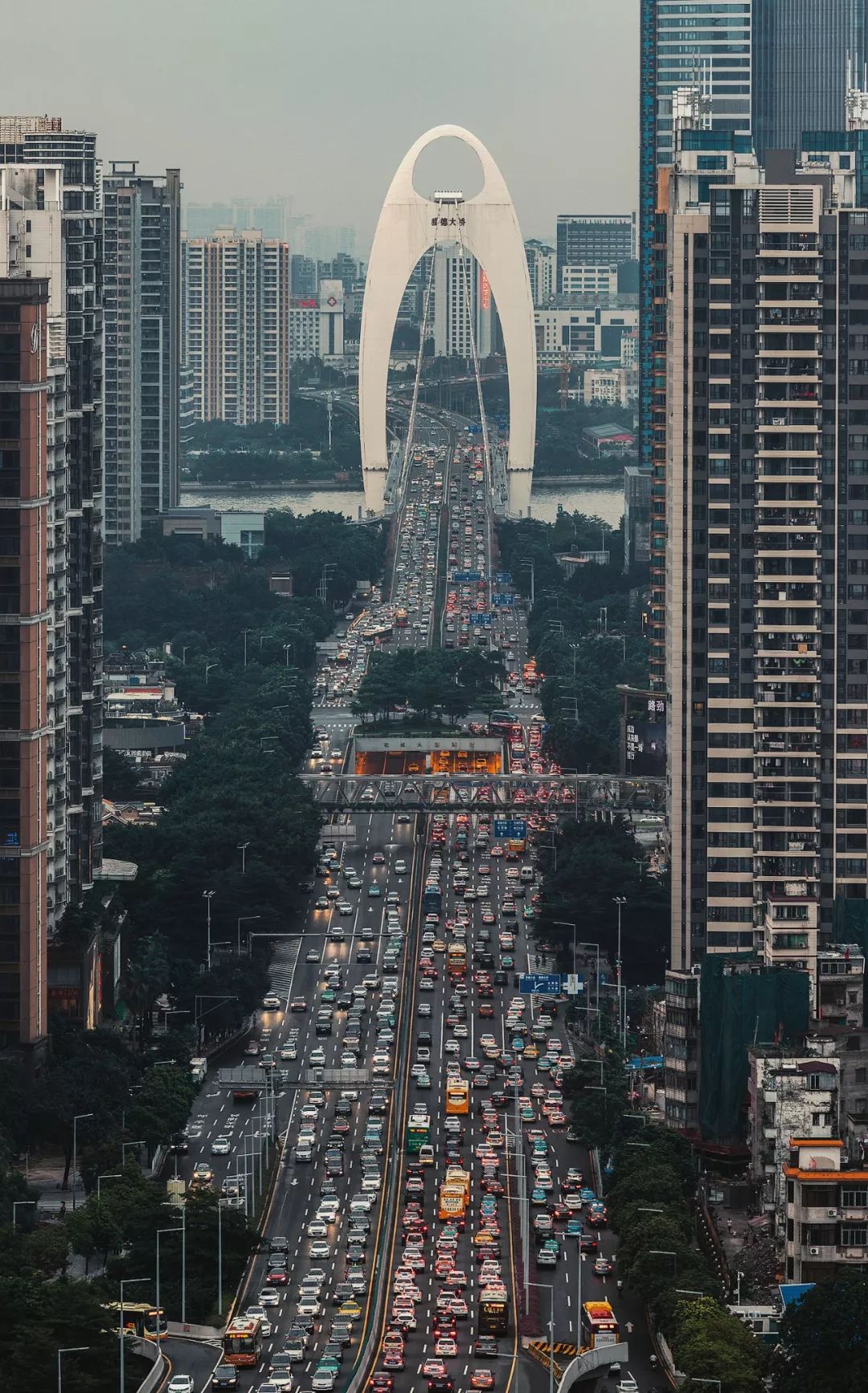 立交桥与高架桥,立交桥立交