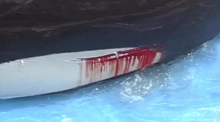 丧心病狂！每帧画面都在捅刀子，多少人忽视了这些人间惨剧…