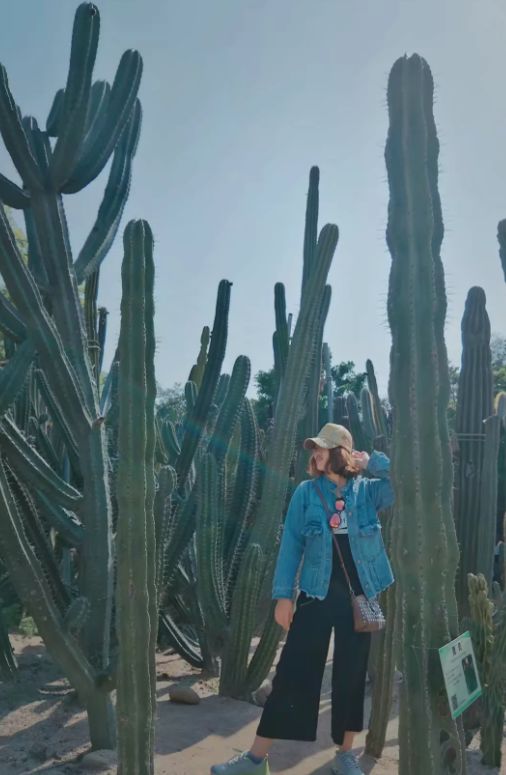 厦门五天四夜游玩攻略,三天三夜游厦门超详细攻略