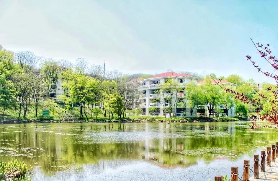 南京工业大学公益林上线，快来浇水种树！