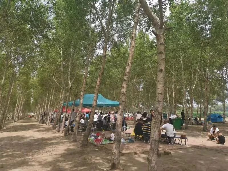 嘎日迪木屋别墅,嘎日迪农家乐