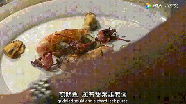 讲述瑞典人的纪录片,北极纪录片瑞典