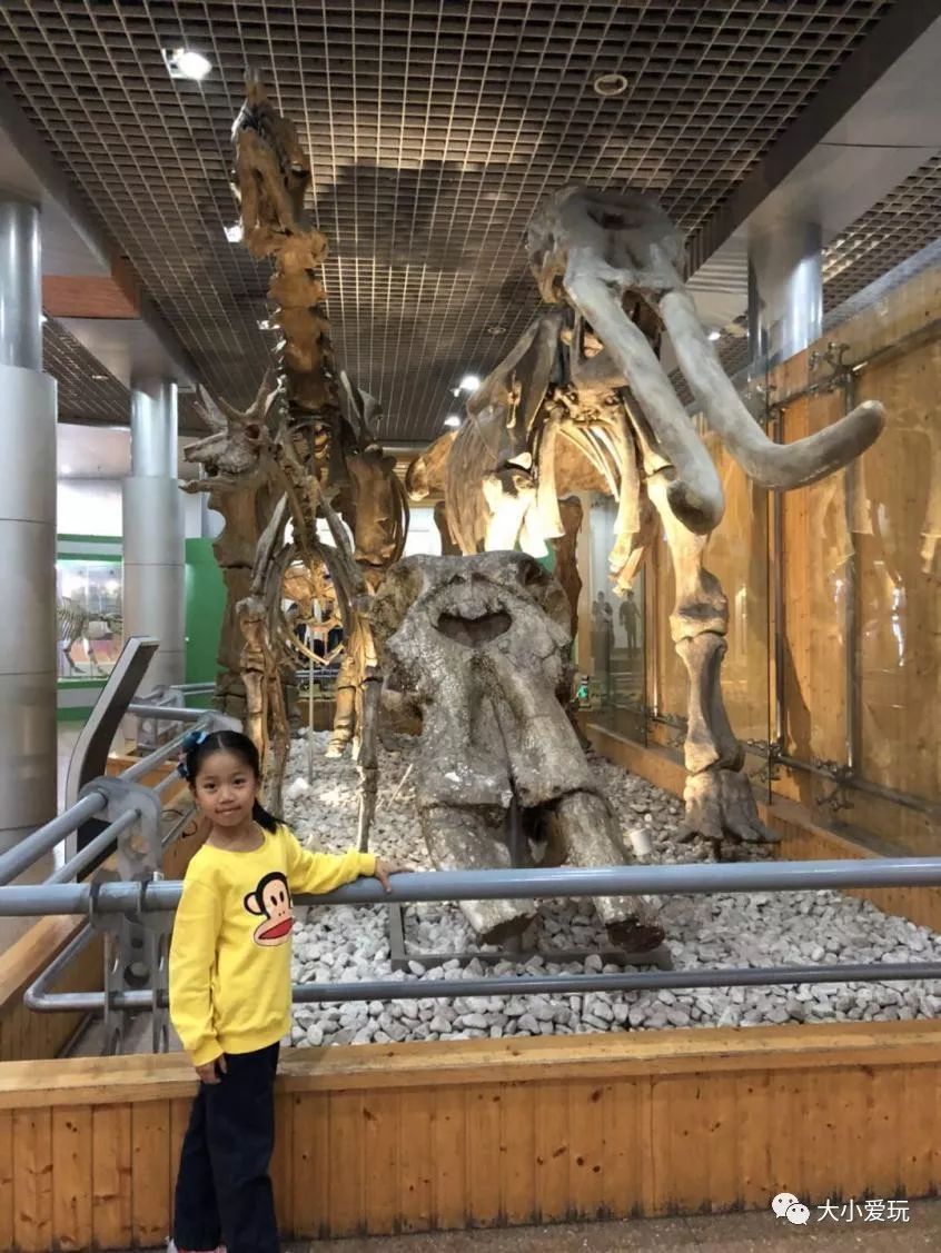 京城避暑的好去处,京城夏日好玩的地方