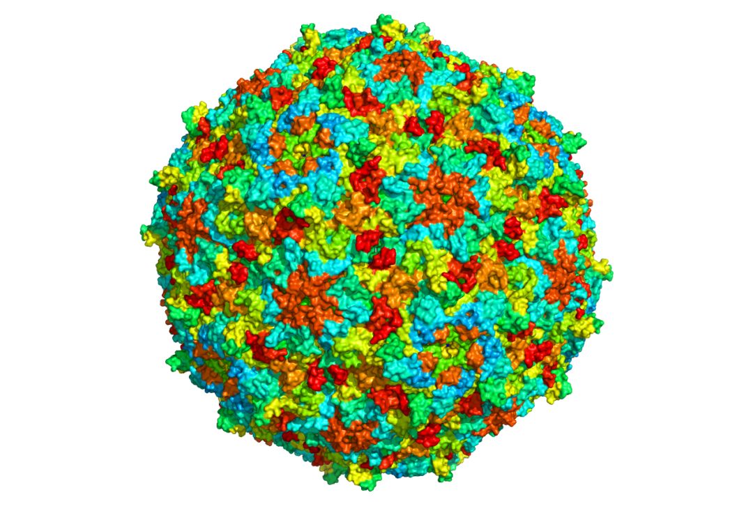 一位诺贝尔奖得主的艰辛旅程,诺奖得主讲述寿命
