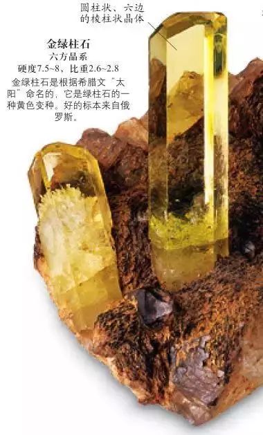 dk博物大百科有没有必要买,dk博物大百科火爆