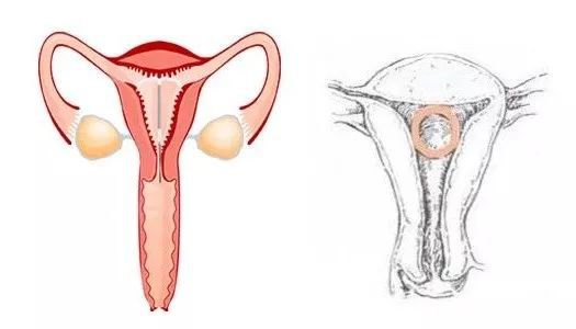 中国被遗忘的女性,被历史遗忘的中国女性