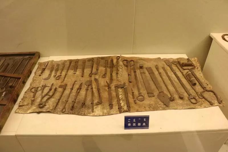 科尔沁传奇,科尔沁大草原的传奇