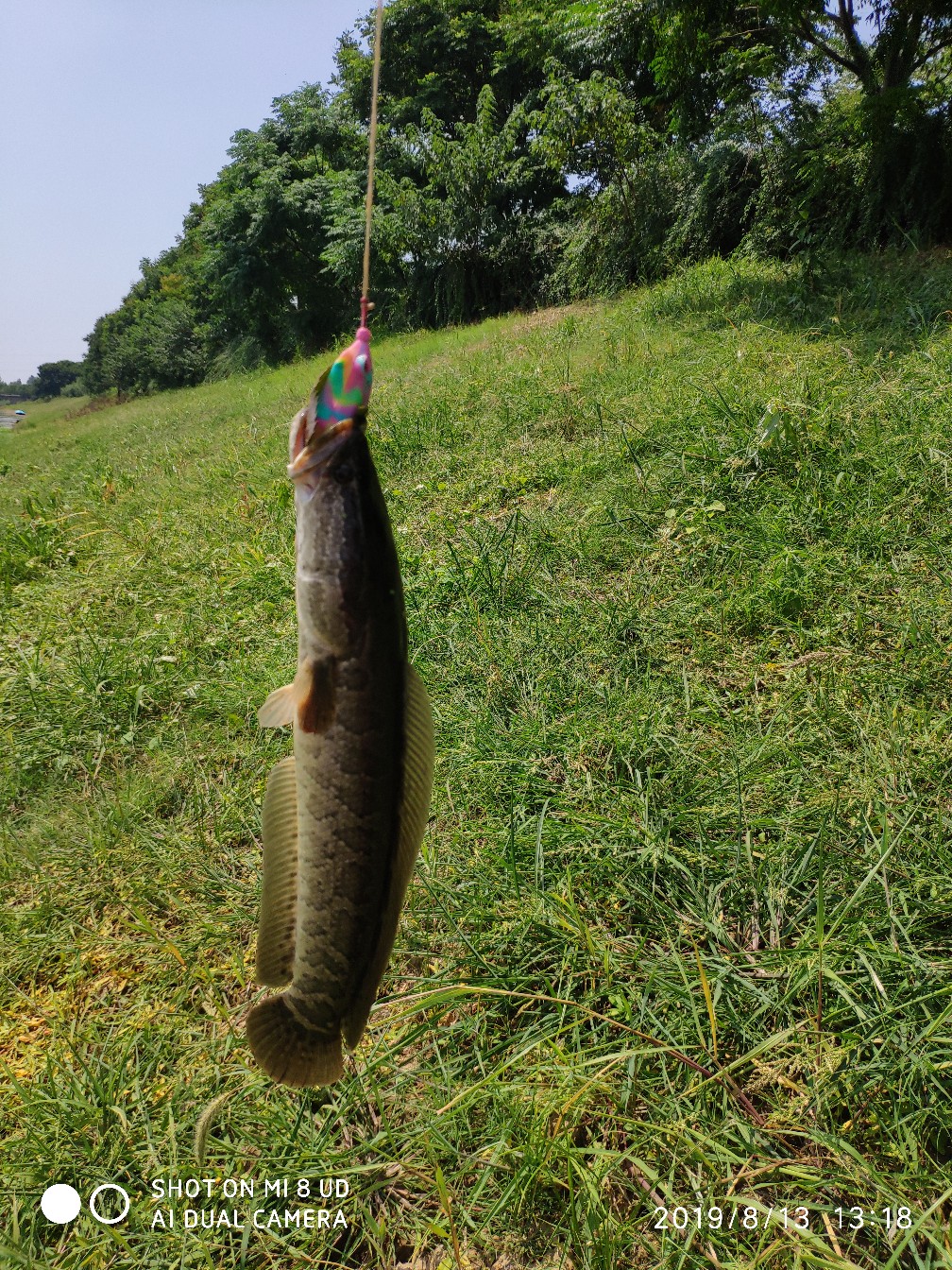 路亚轮怎么清洗,路亚轮拆装保养视频