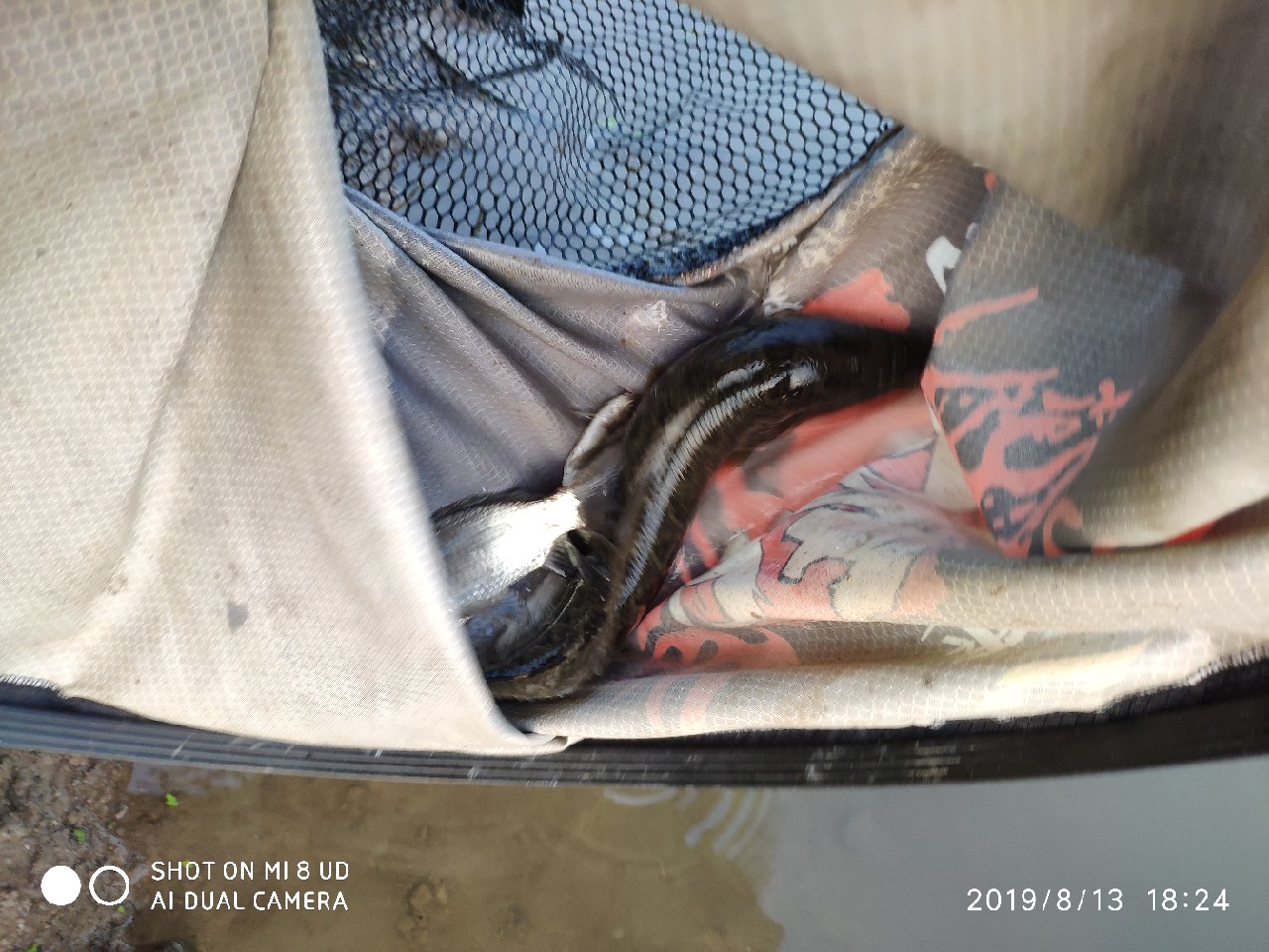 路亚轮怎么清洗,路亚轮拆装保养视频