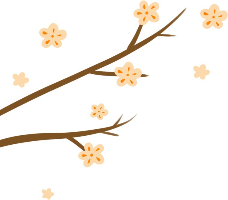 中科馆大讲堂直播讲座,中科院大讲堂精彩片段