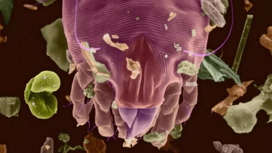 生肉和熟食为什么要分开存放,生肉和熟肉怎么分开储存