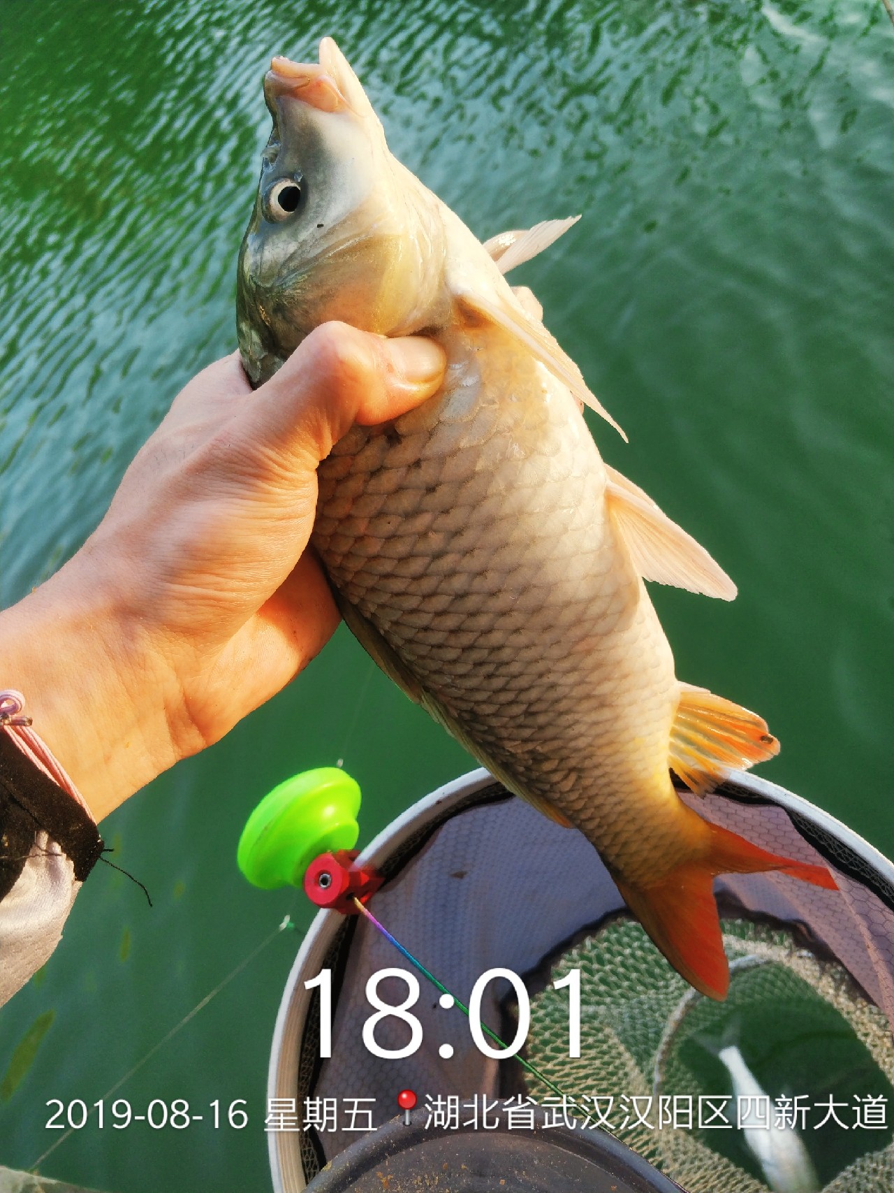 周五钓鱼攻略,周五垂钓