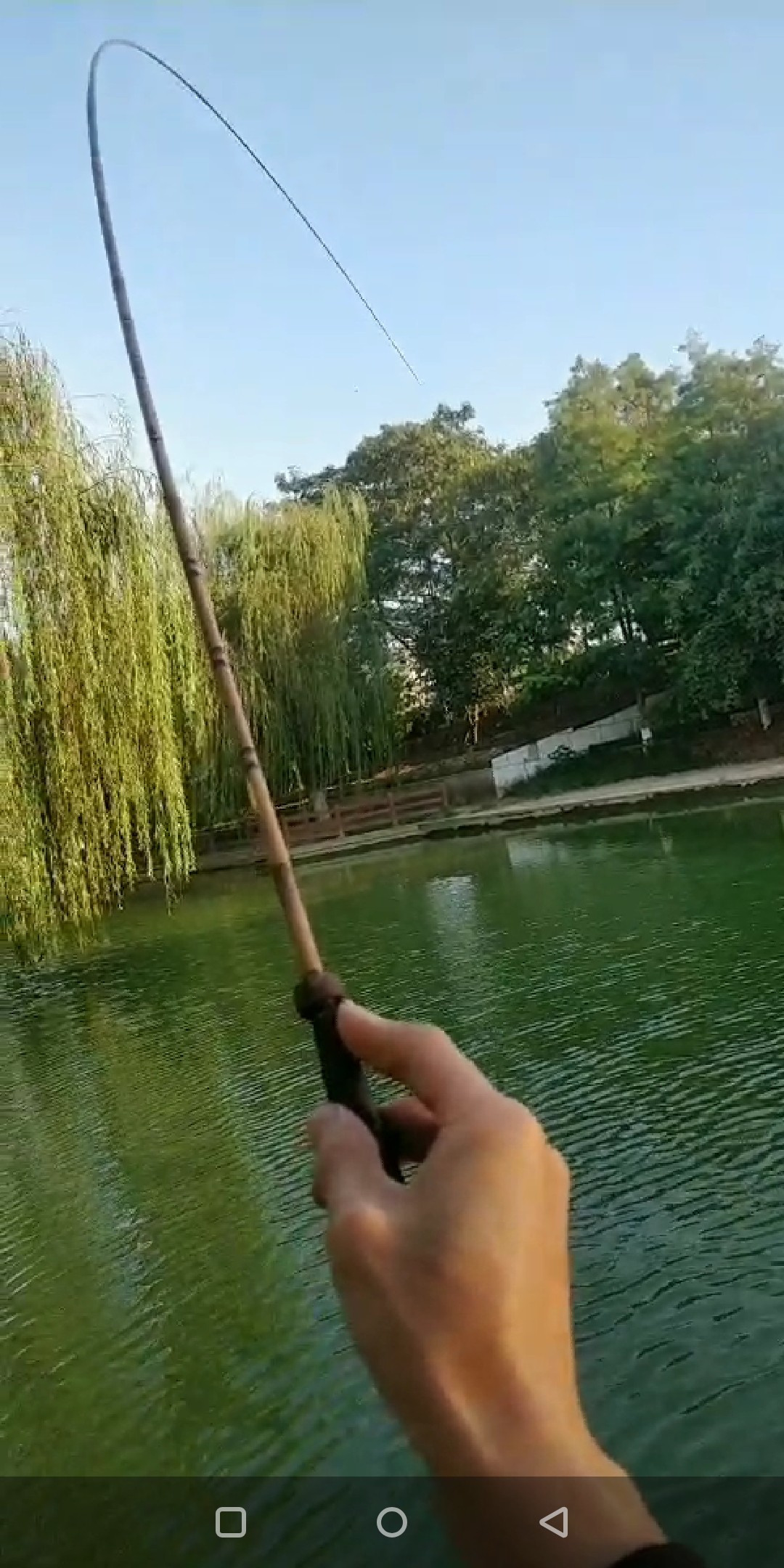 周五钓鱼攻略,周五垂钓