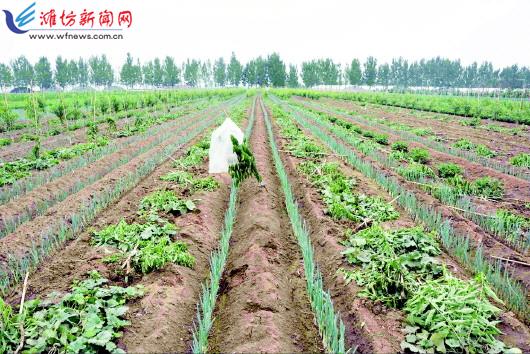 酒后冲动毁掉自己的一生,酒后冲动的恶果