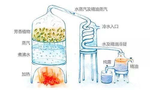 官方旗舰店脸部抗皱小分子精油,纯中药成分的护肤品