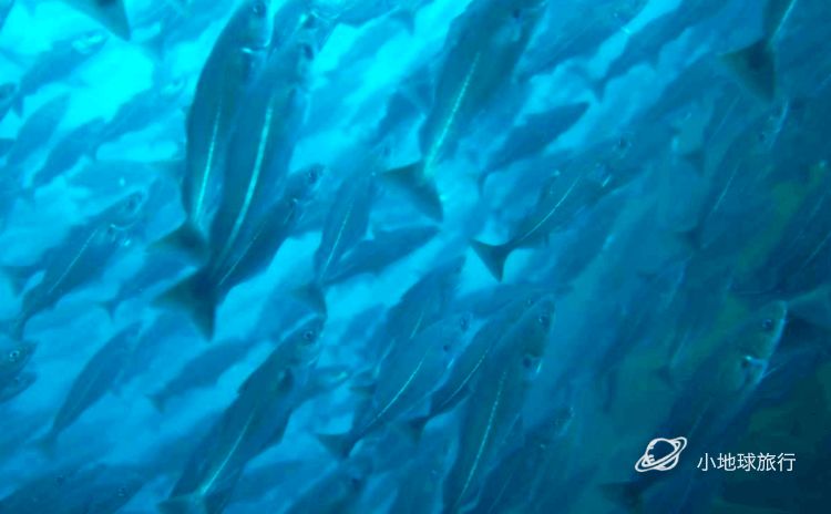 北极圈内的这个冷冽孤独秘境，一到冬天就成为欧洲摄影师的心头肉，国际地理封面就靠你了