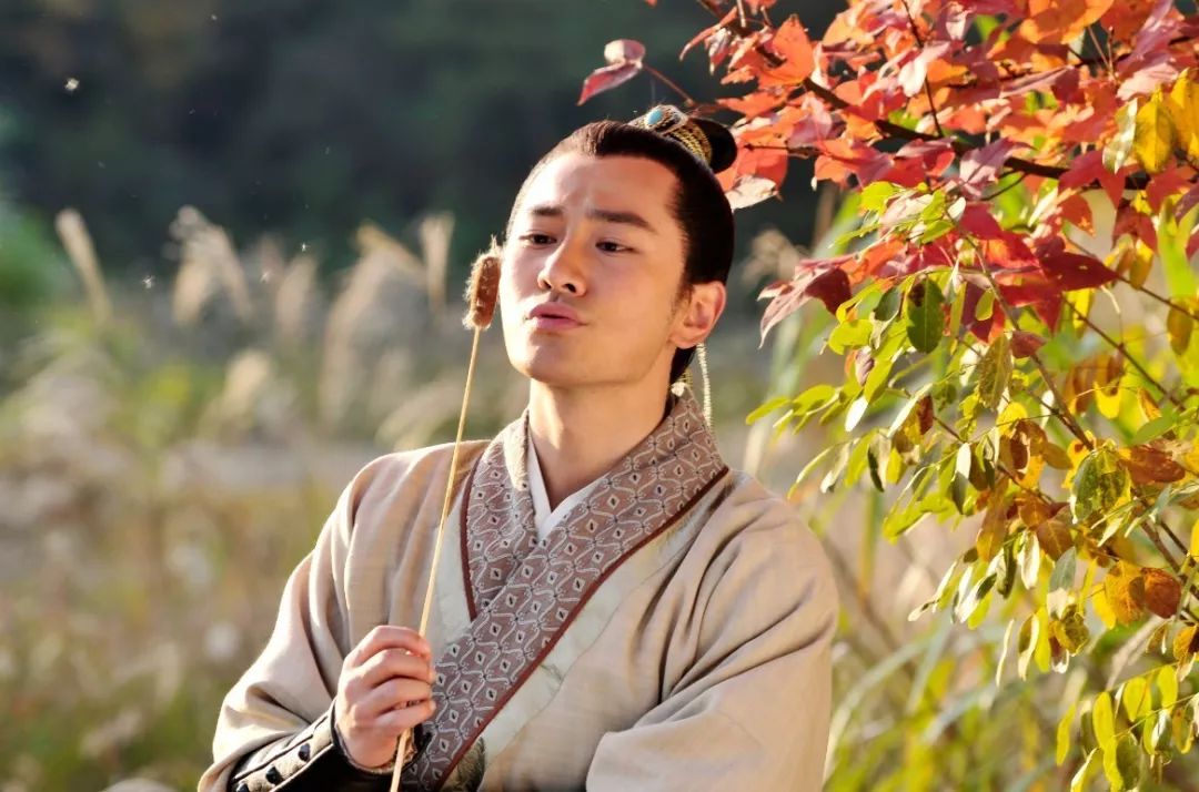 穆桂英挂帅所有的女兵,穆桂英挂帅里的女强人