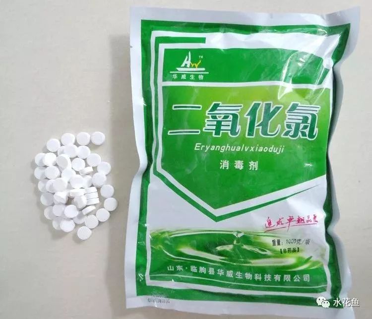 鲢鳙鱼出血病,花白鲢败血症